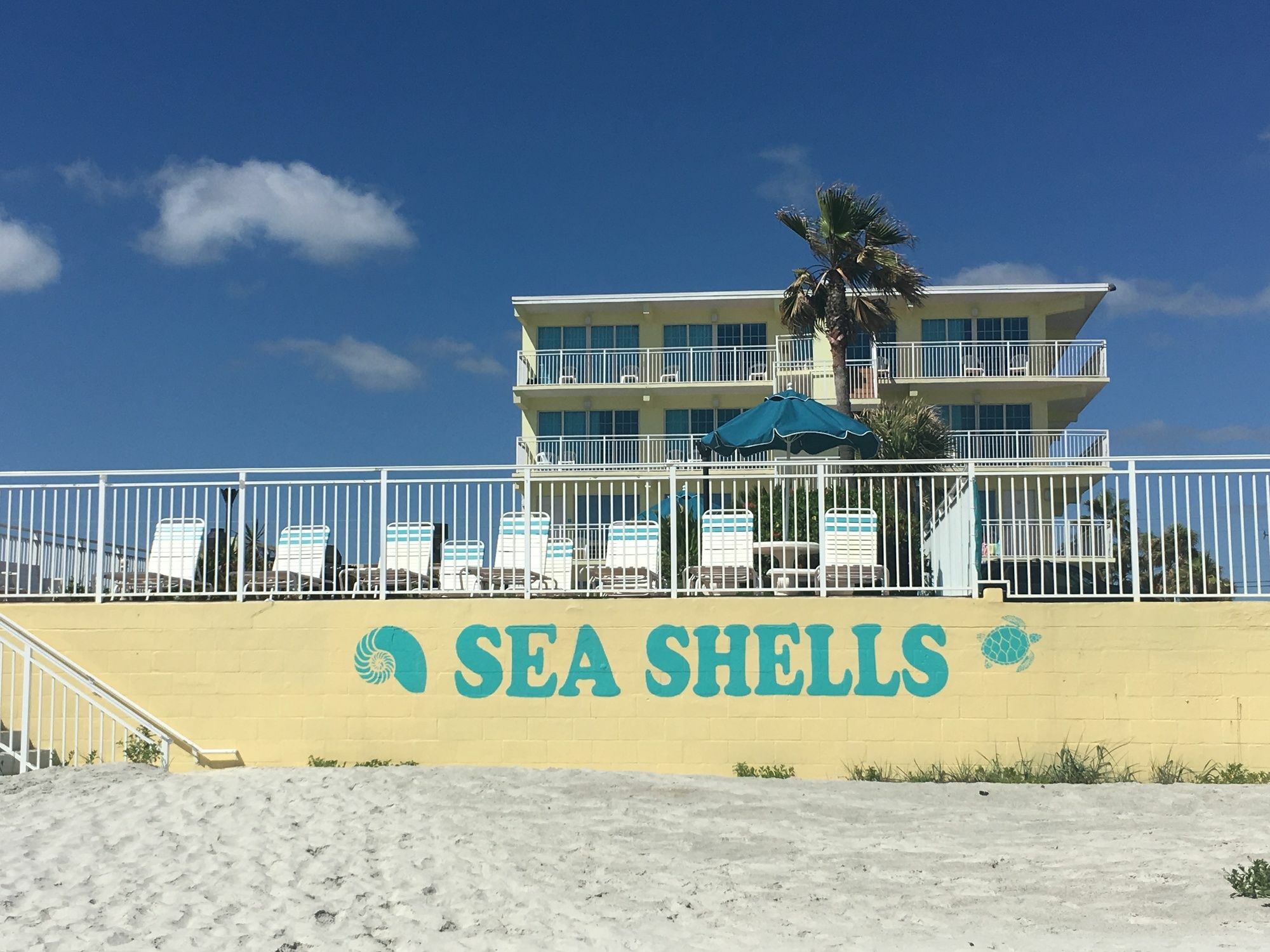 Sea Shells Beach Club Дейтона-Бич Экстерьер фото